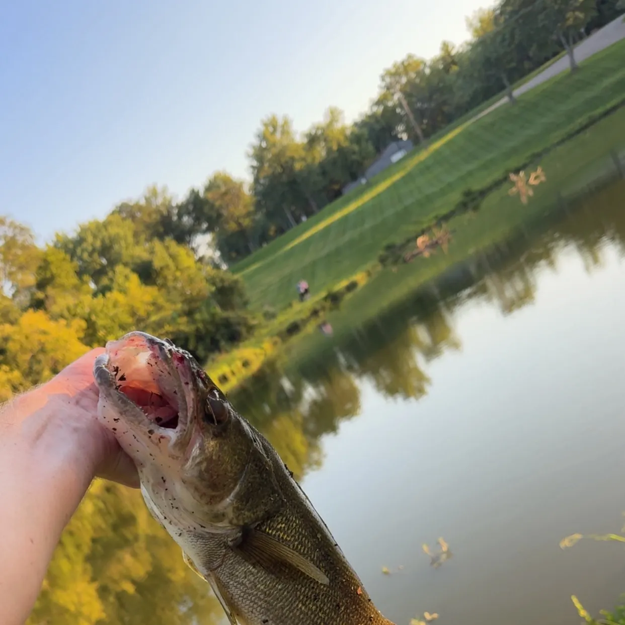 catch