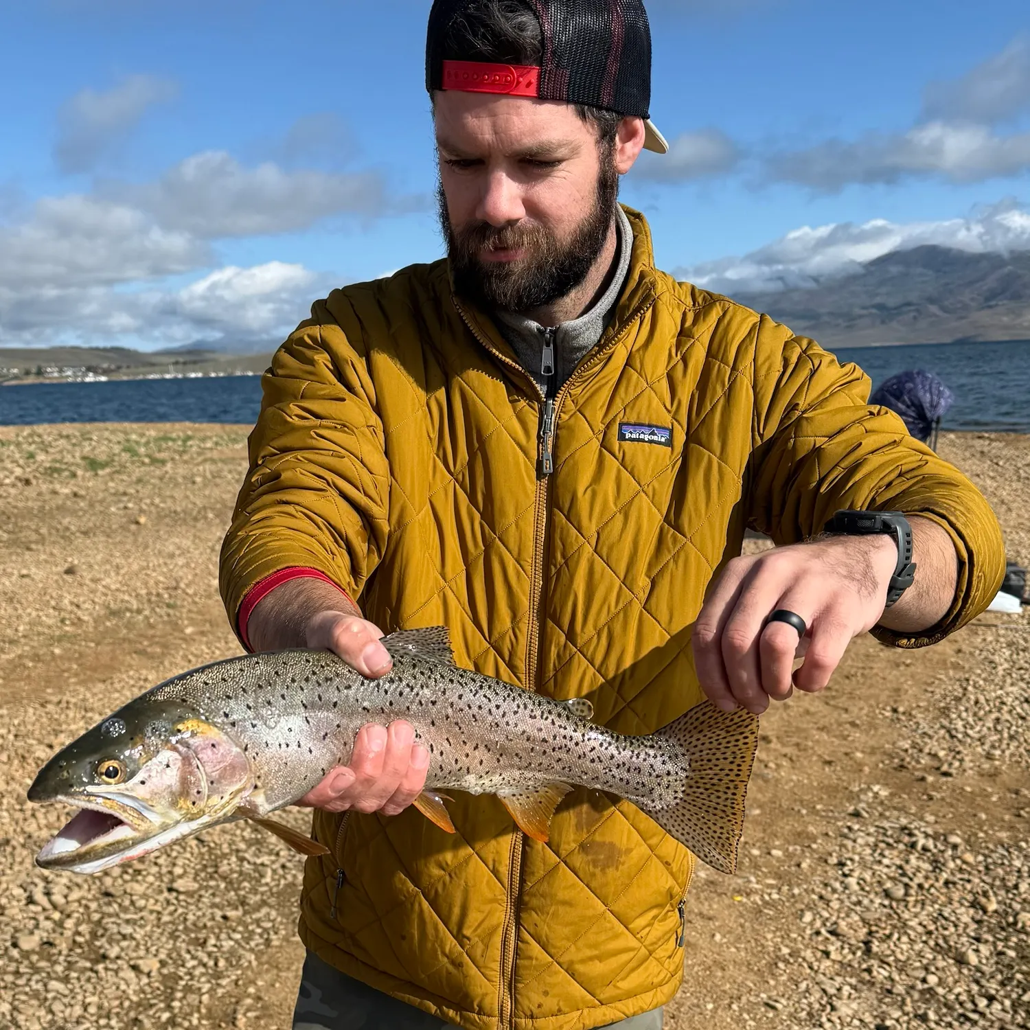 Bear River cutthroat trout caught on Fishbrain