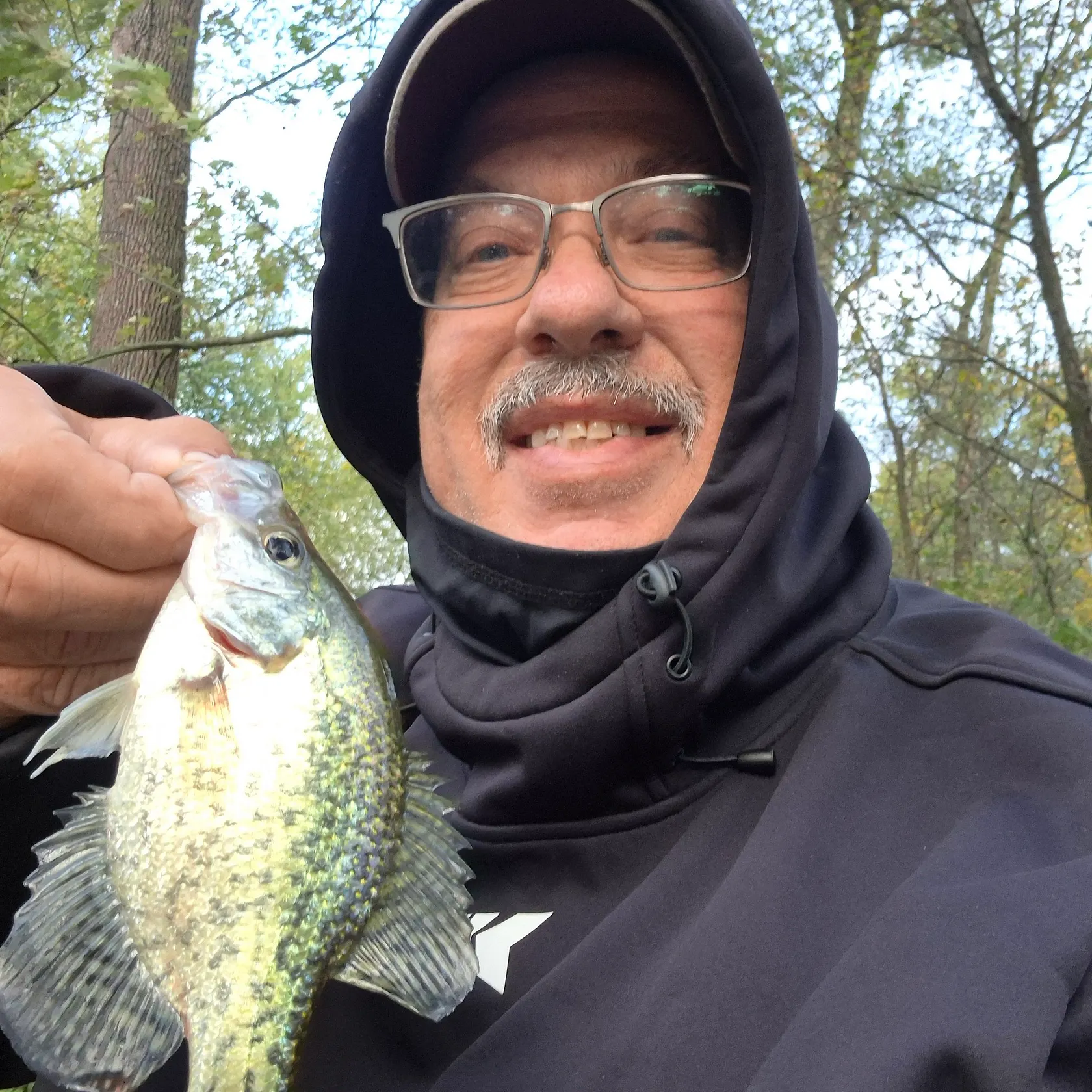 Black crappie caught on Fishbrain