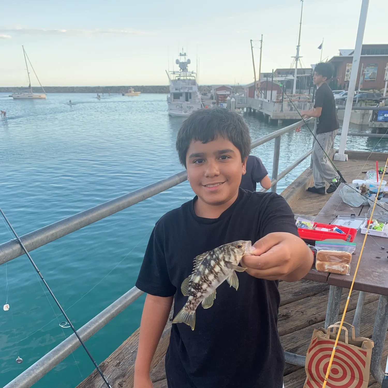 Kelp bass caught on Fishbrain