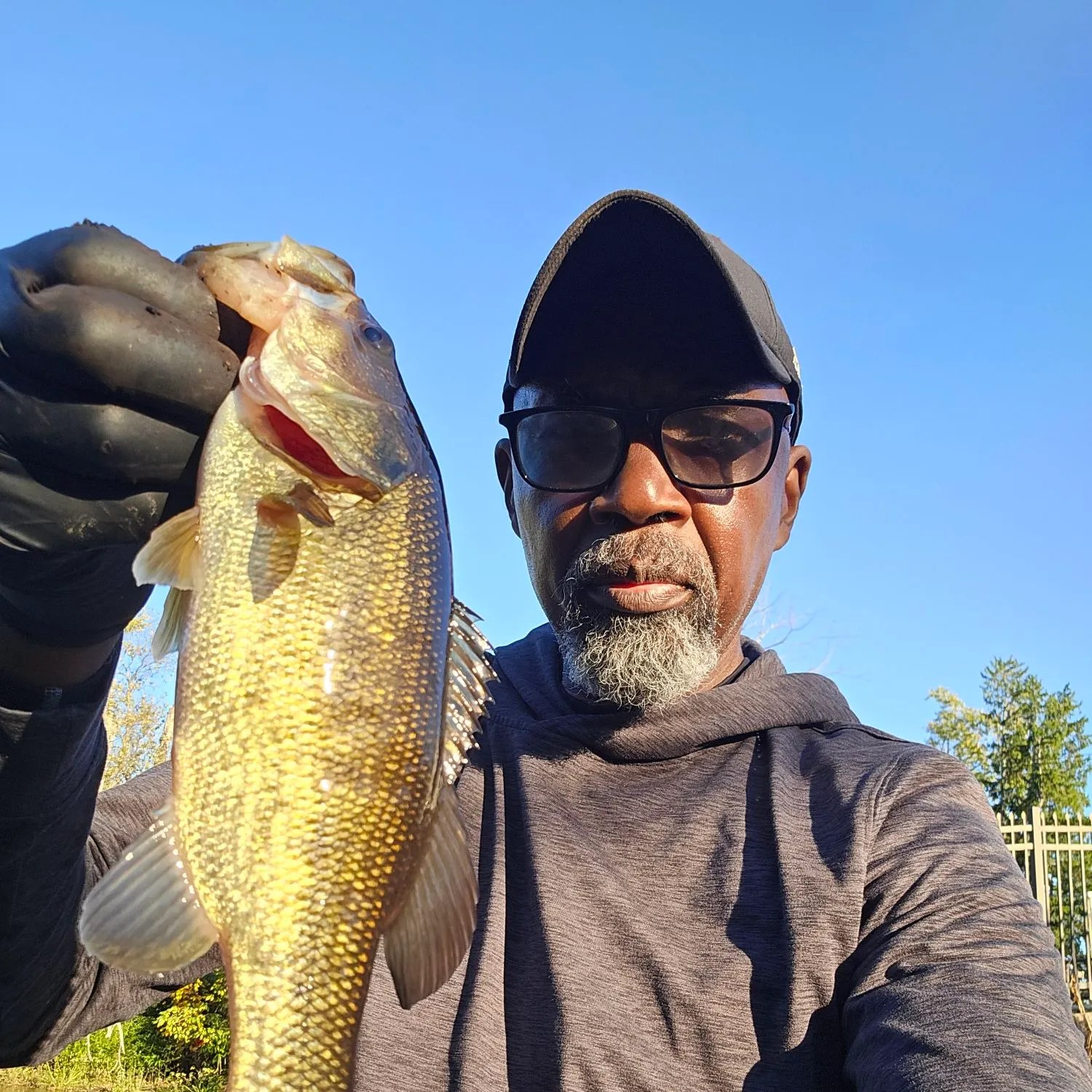 Fish caught on Fishbrain