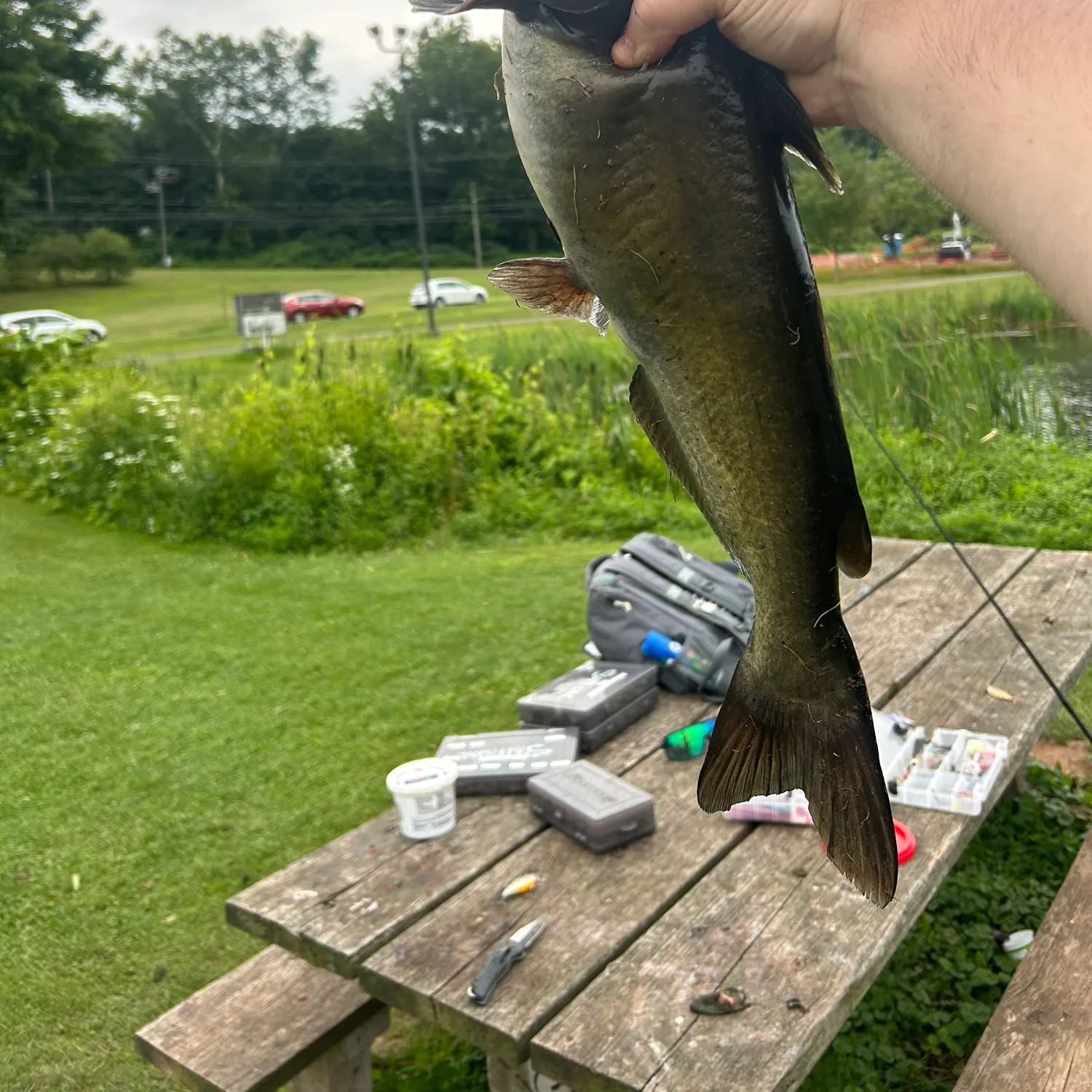 catch