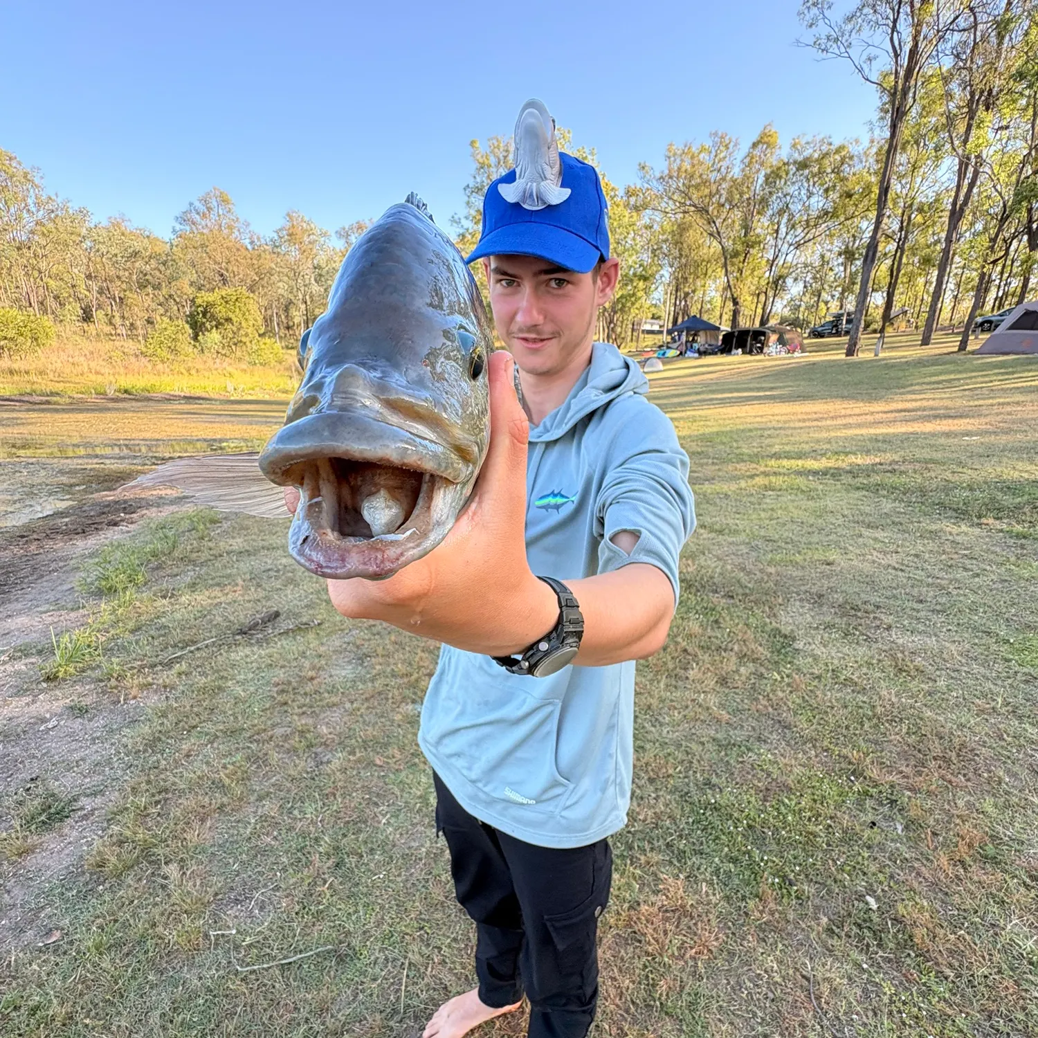 The most recent Mozambique tilapia catches on Fishbrain