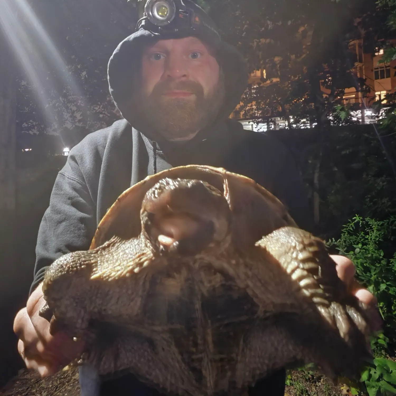 Fish caught on Fishbrain