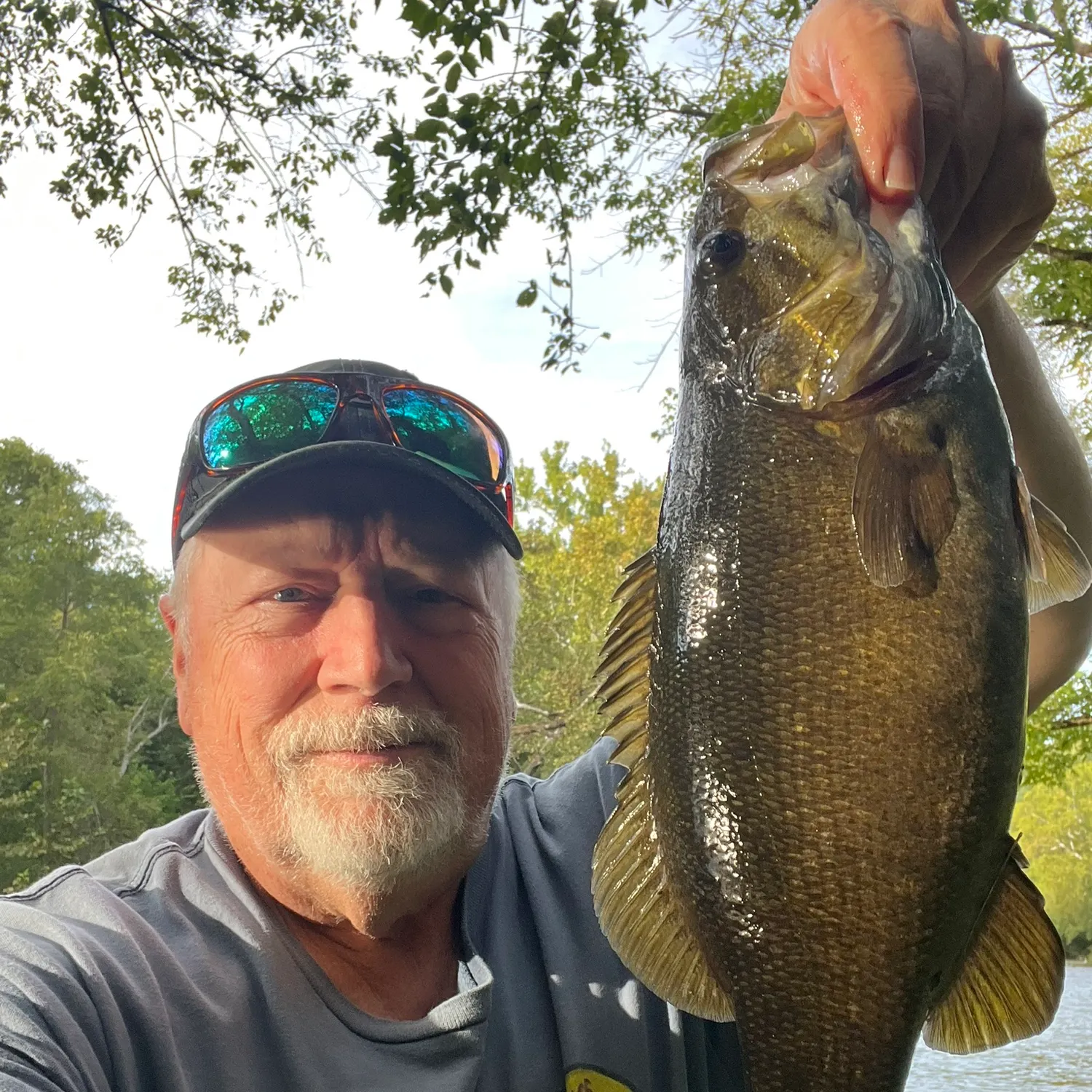 Smallmouth bass caught on Fishbrain
