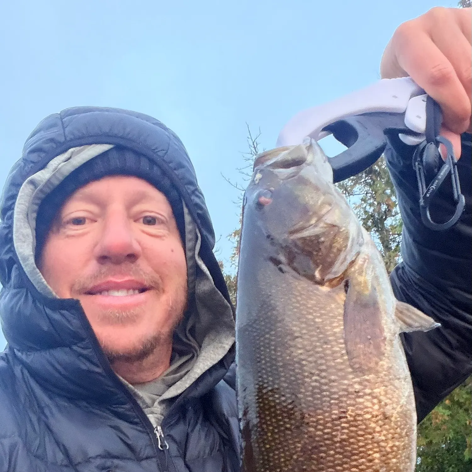 Smallmouth bass caught on Fishbrain
