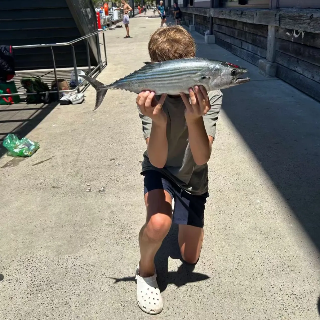 The most popular recent Australian bonito catch on Fishbrain