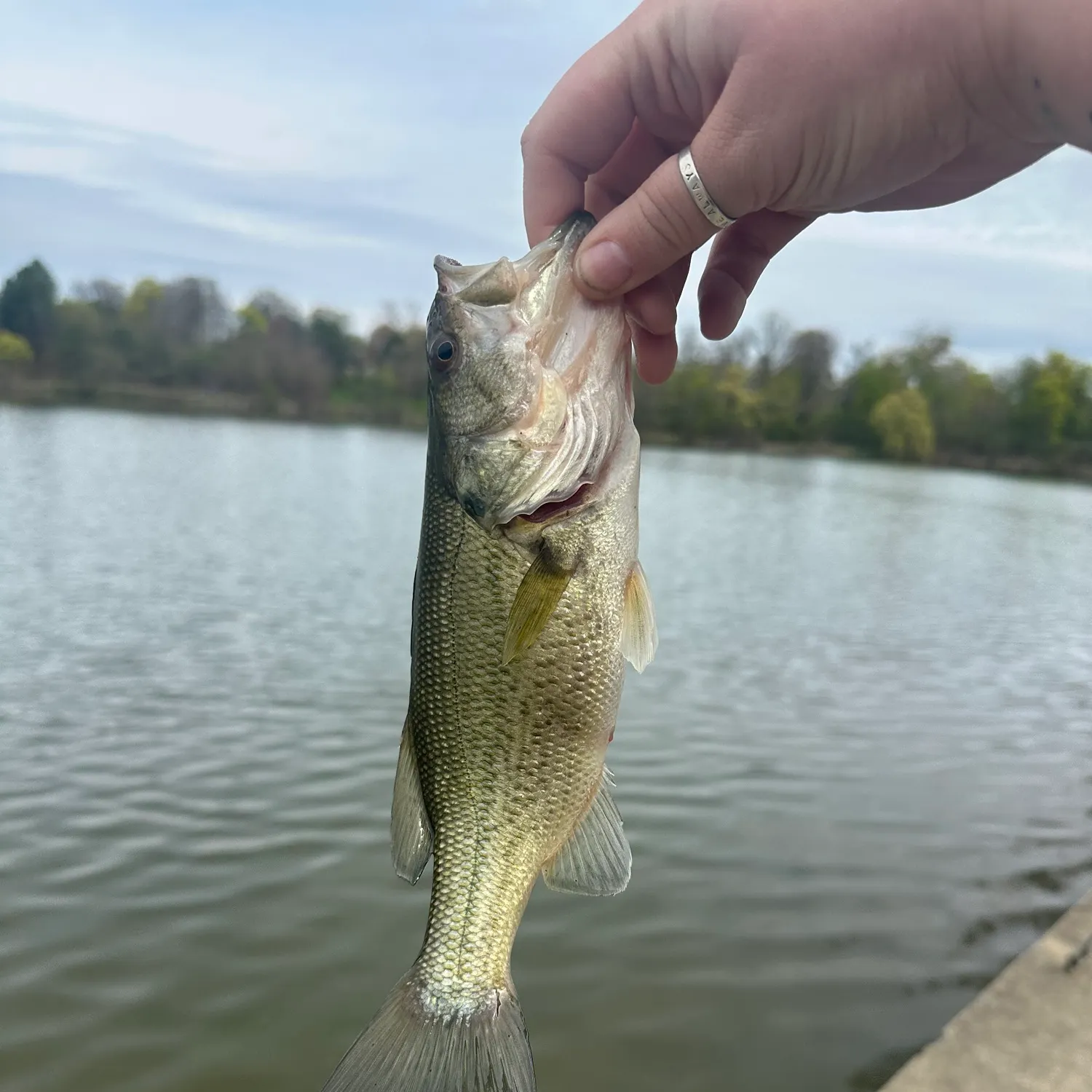 angler catch