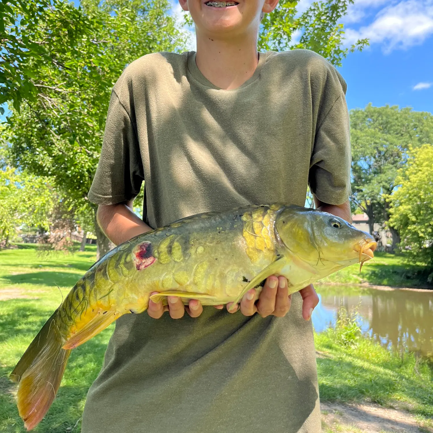 Mirror carp caught on Fishbrain