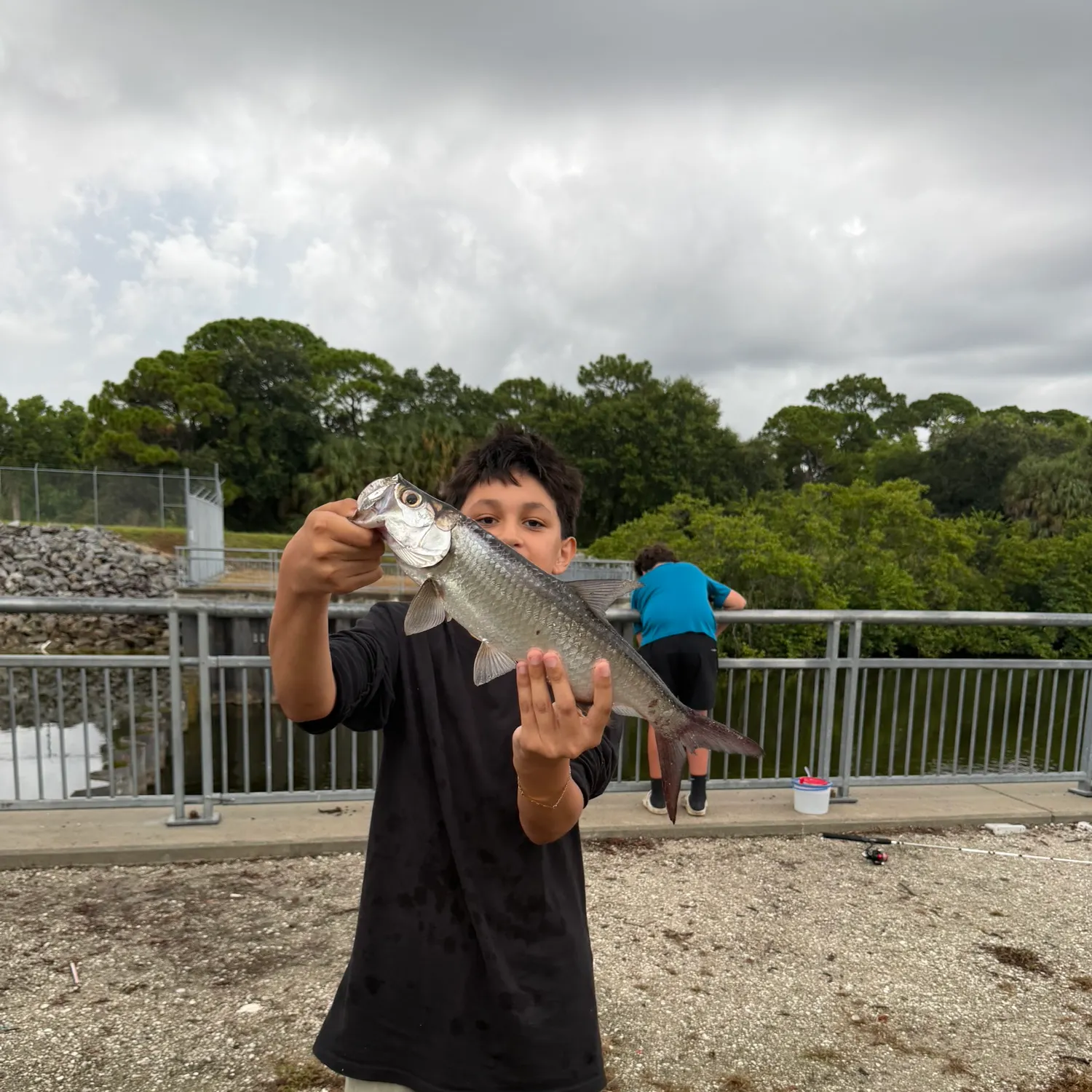 Tarpon caught on Fishbrain