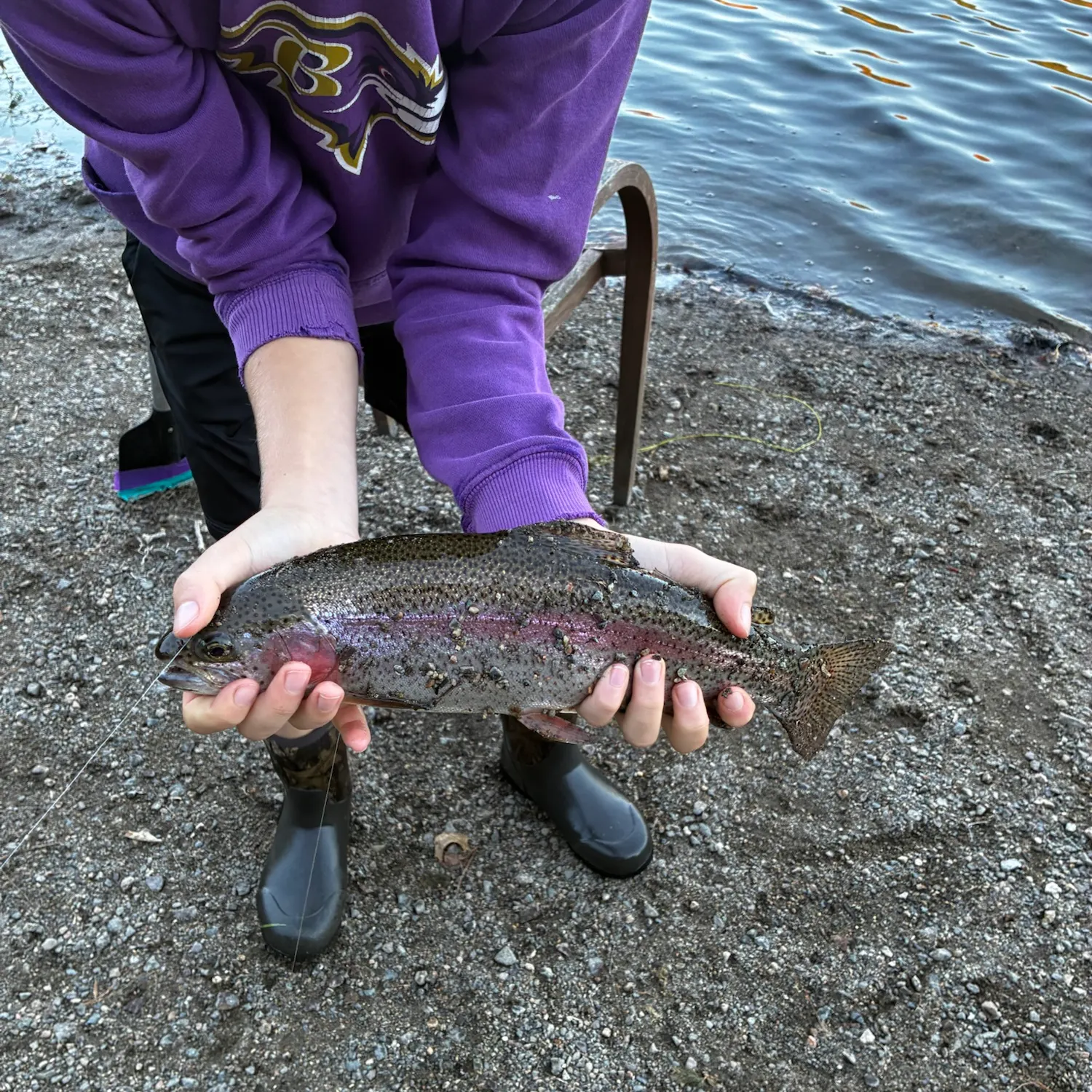 Rainbow trout caught on Fishbrain