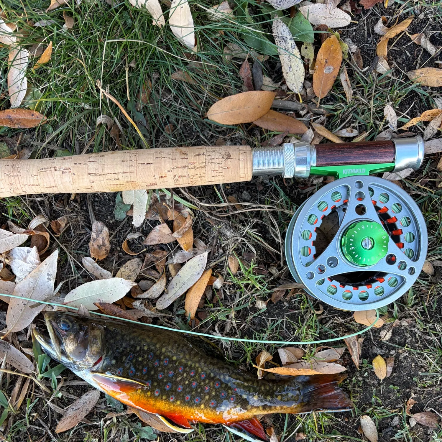 Brook trout caught on Fishbrain