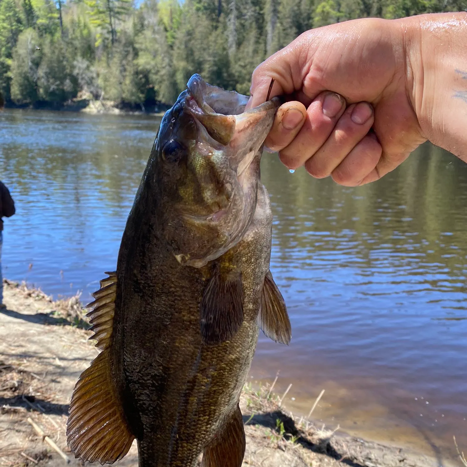 angler catch
