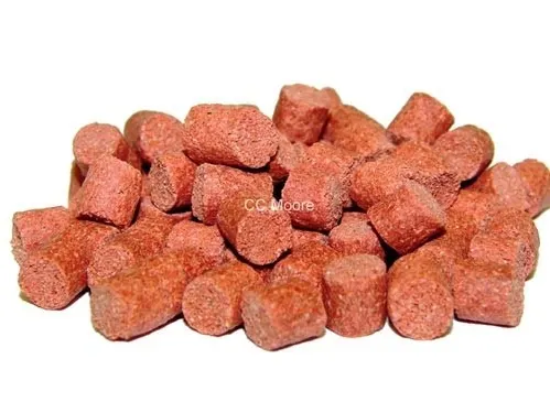 Bloodworm
