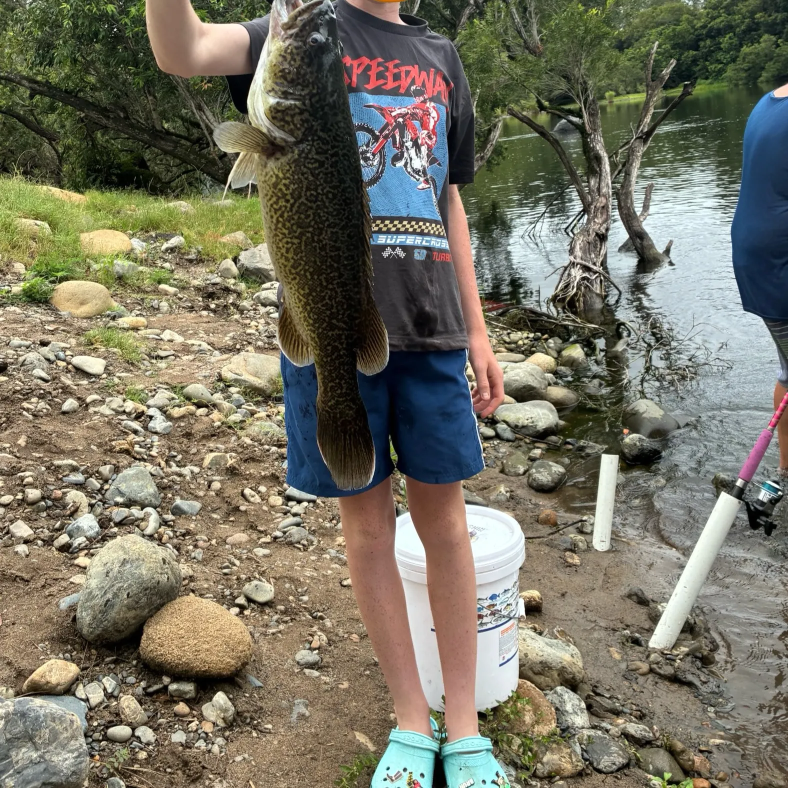 The most recent Clarence River cod catches on Fishbrain
