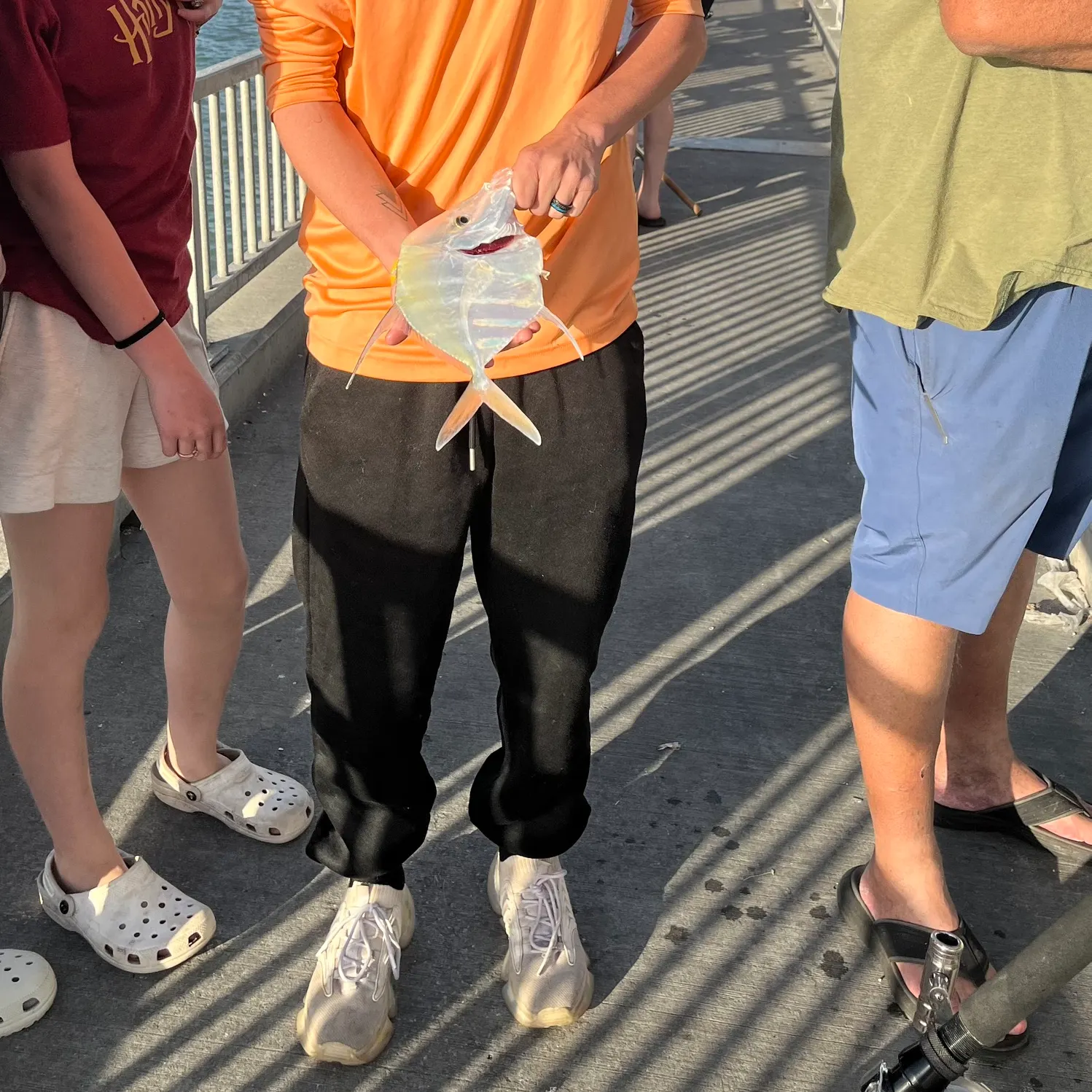 The most recent Lookdown catches on Fishbrain