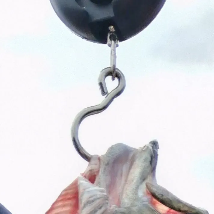 Fish caught on Fishbrain