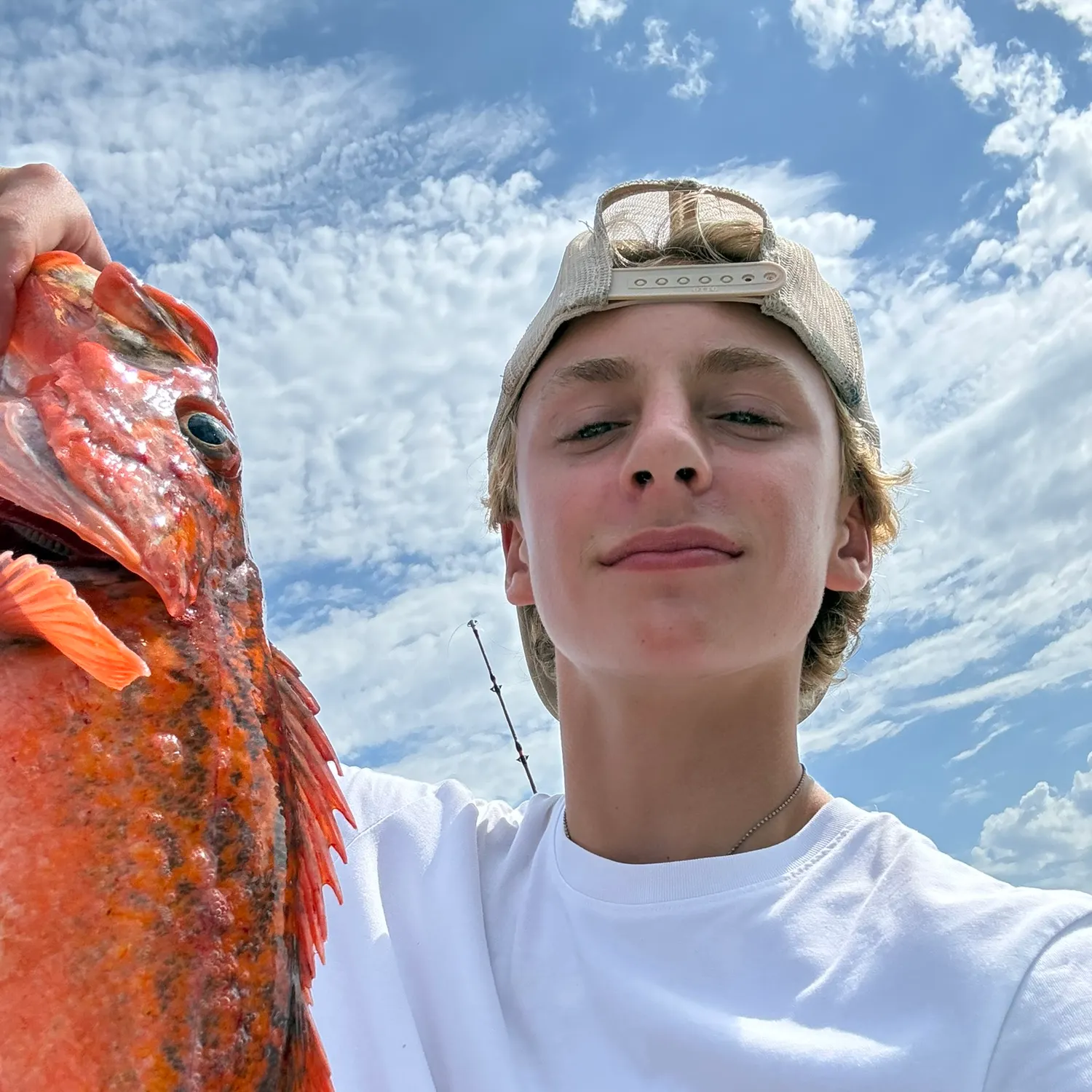 The most recent Vermilion rockfish catches on Fishbrain