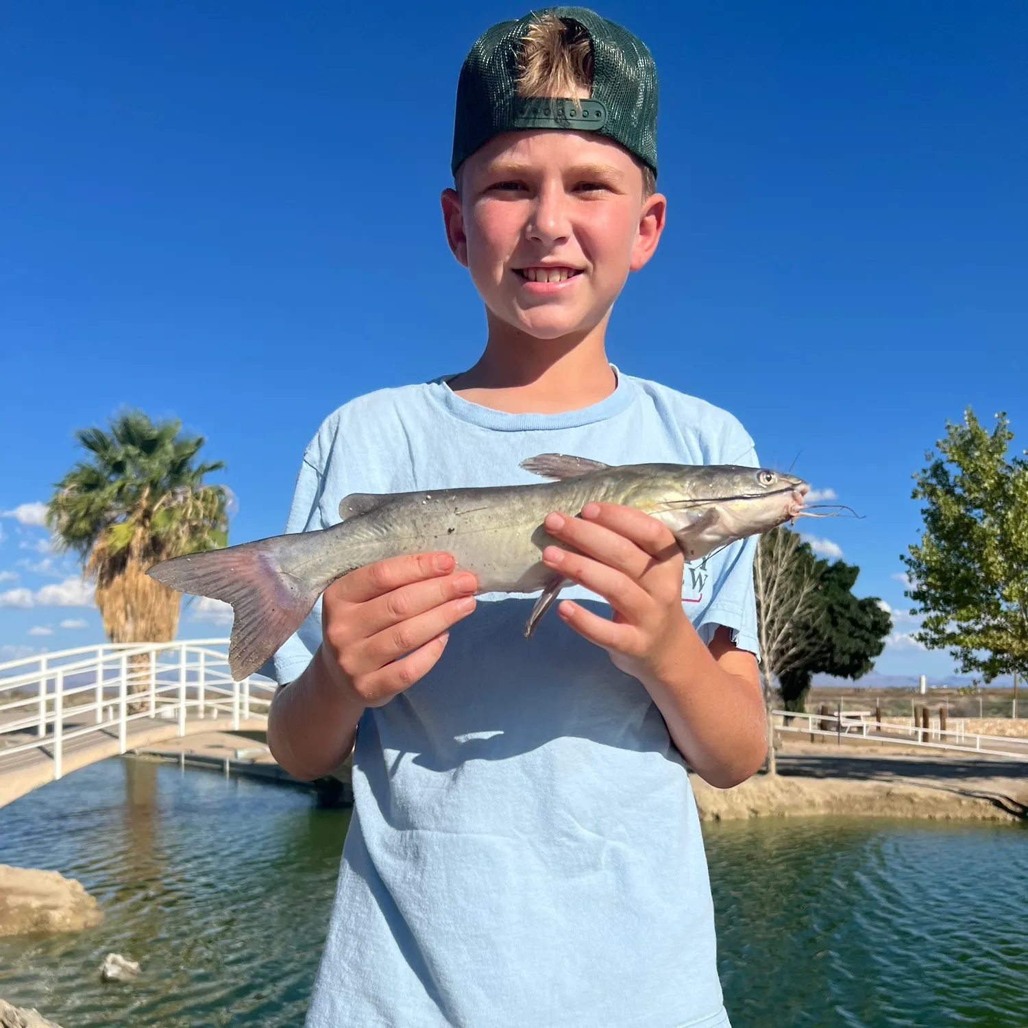Channel catfish caught on Fishbrain