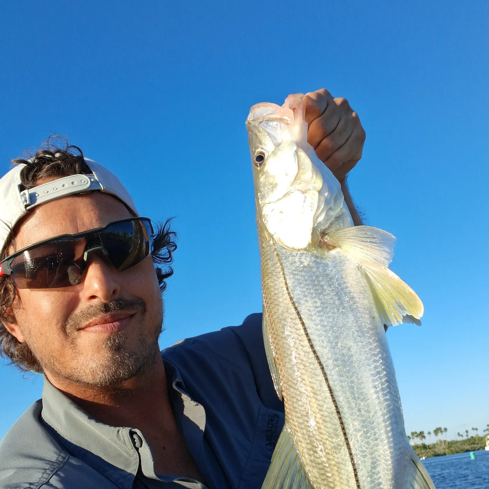 Common snook caught on Fishbrain