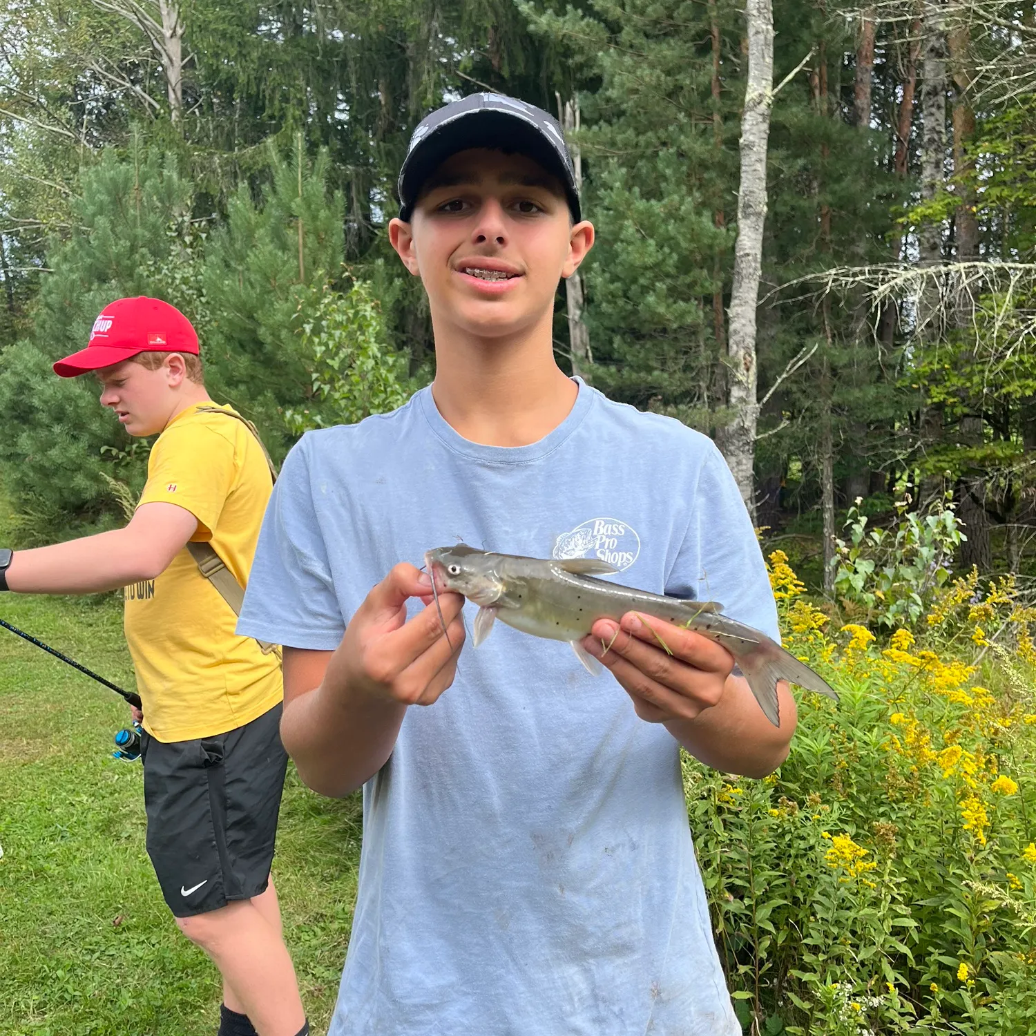 Channel catfish caught on Fishbrain