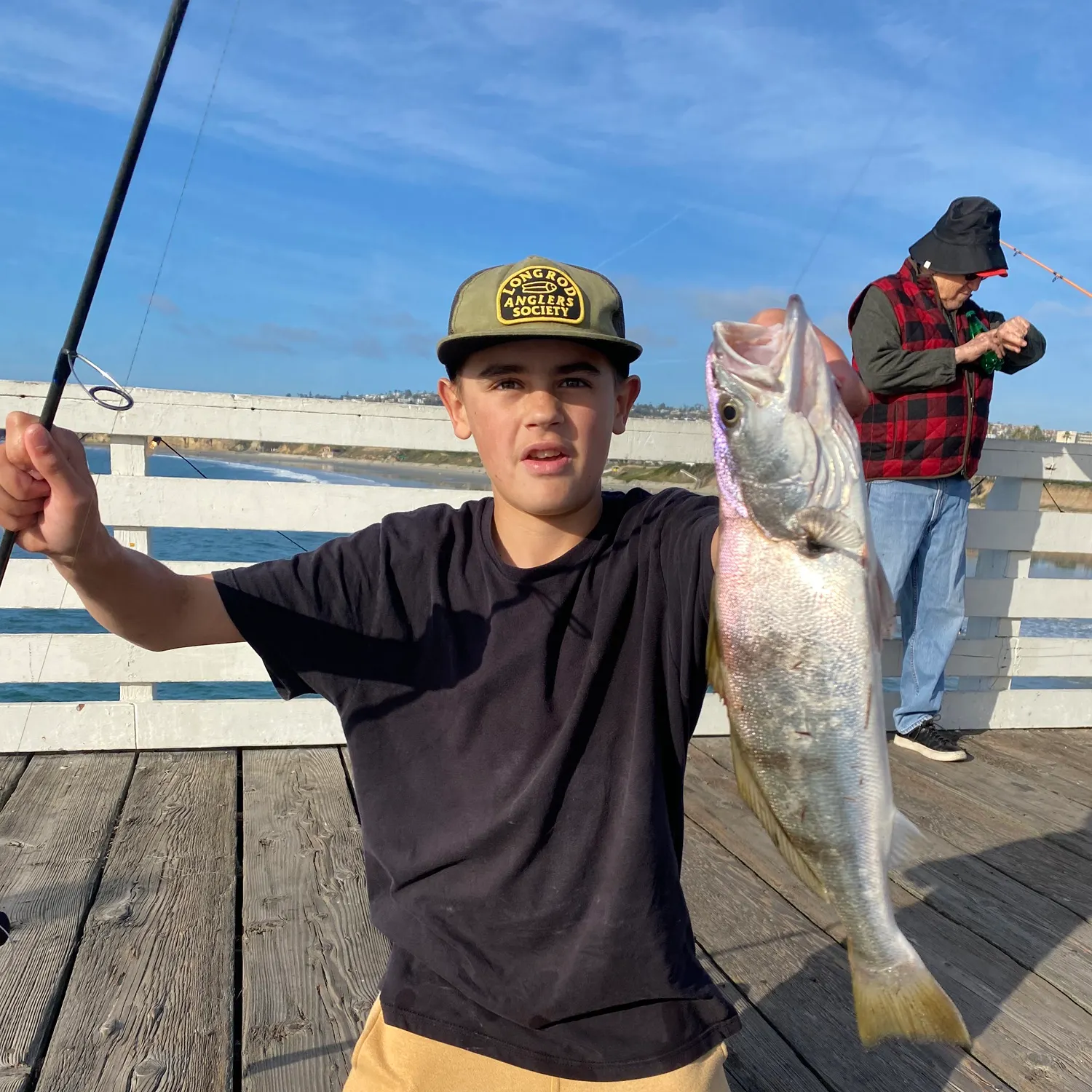The most recent White seabass catches on Fishbrain