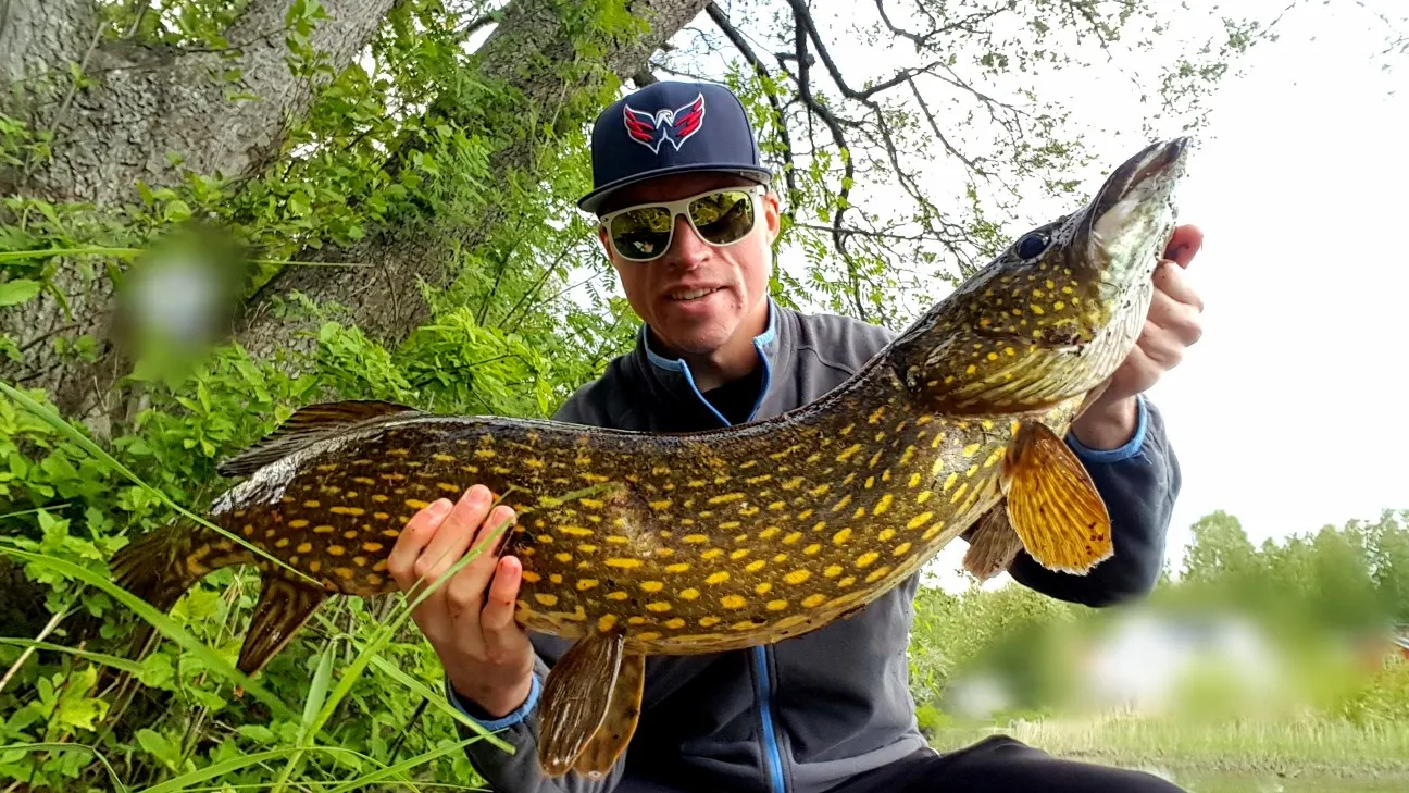 Post image from JPsson