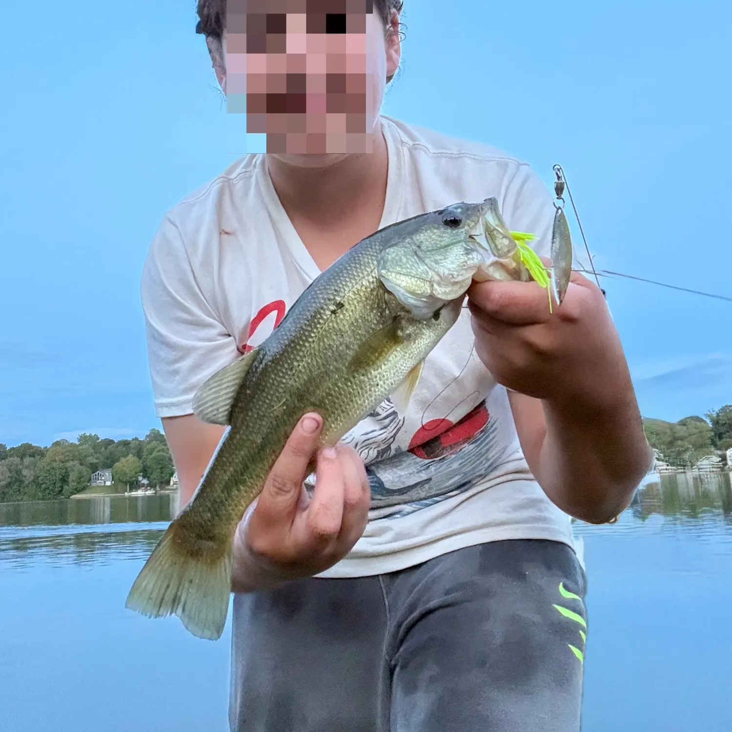 Largemouth bass caught on Fishbrain