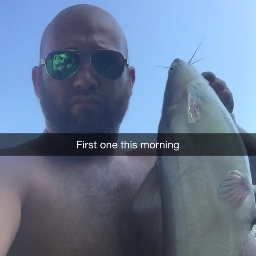 angler catch