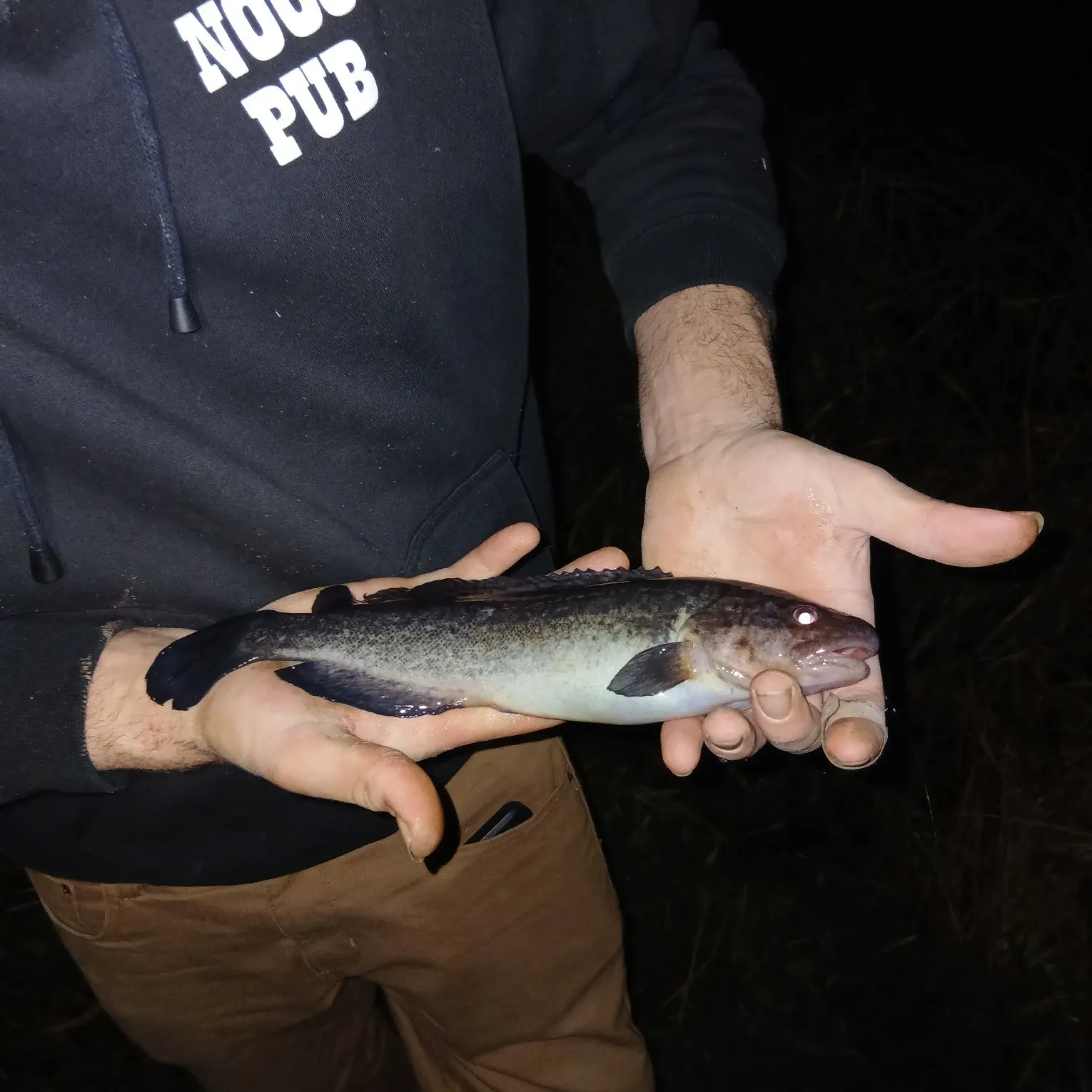 The most recent River blackfish catches on Fishbrain