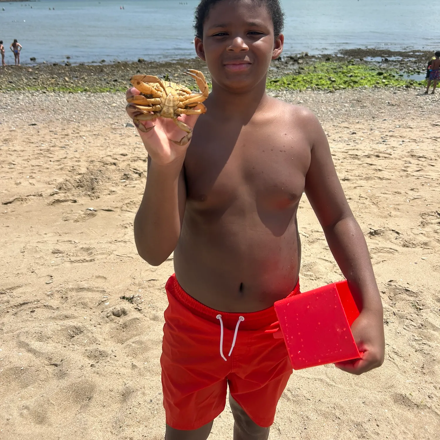 The most recent Jonah crab catches on Fishbrain