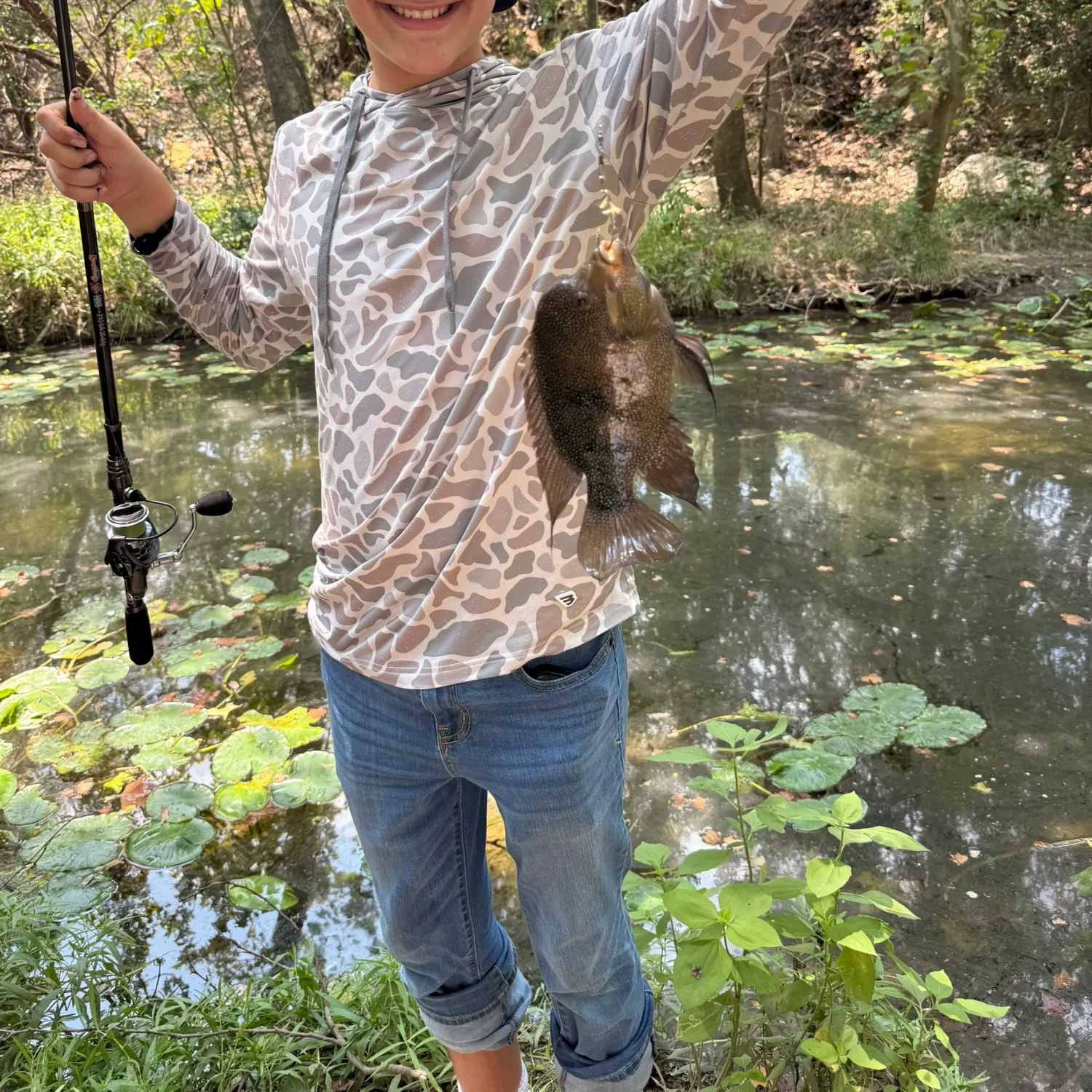 The most recent Spotted sicklefish catches on Fishbrain