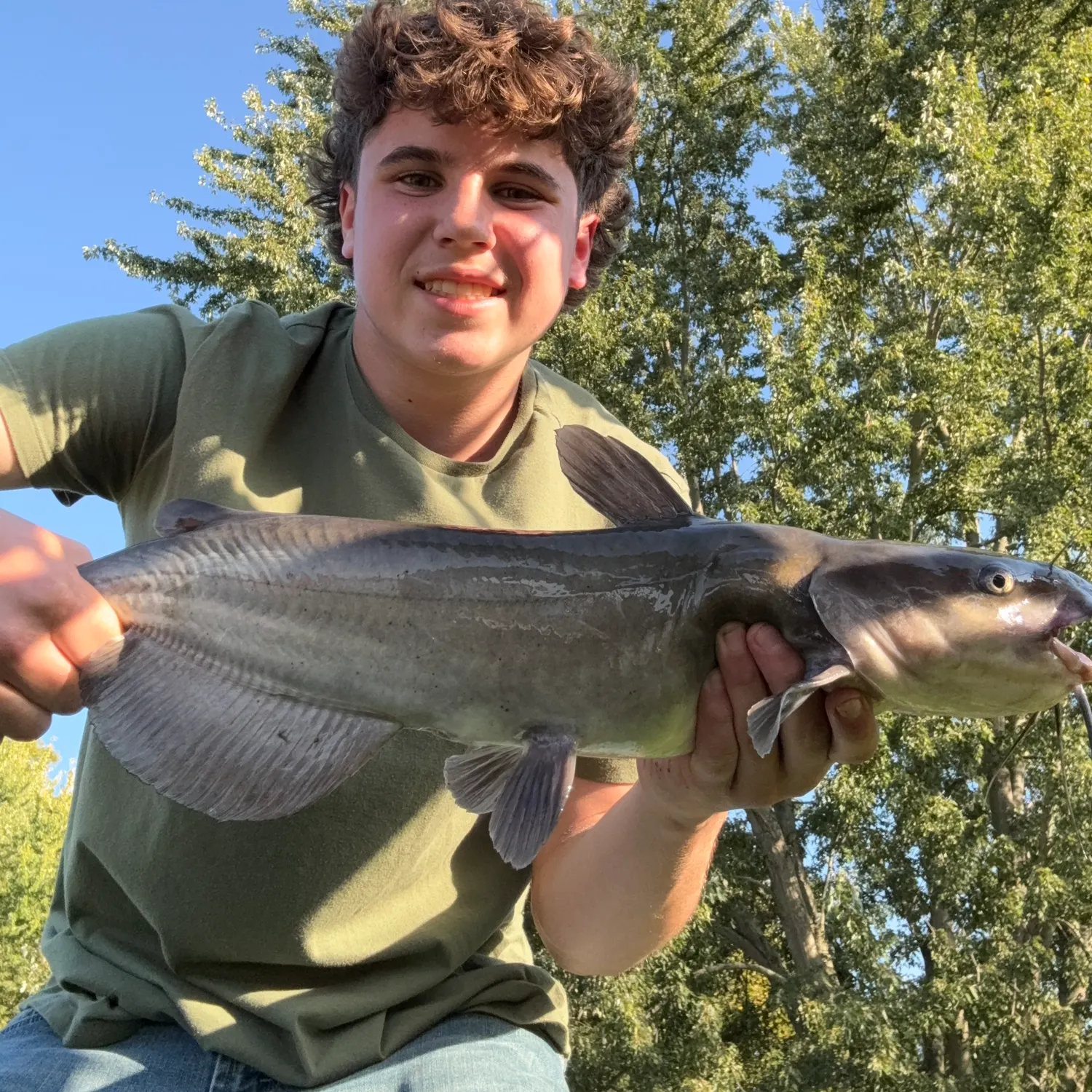Channel catfish caught on Fishbrain