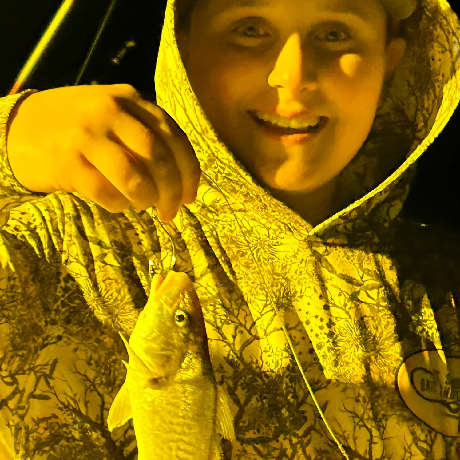 The most recent Whiting catches on Fishbrain