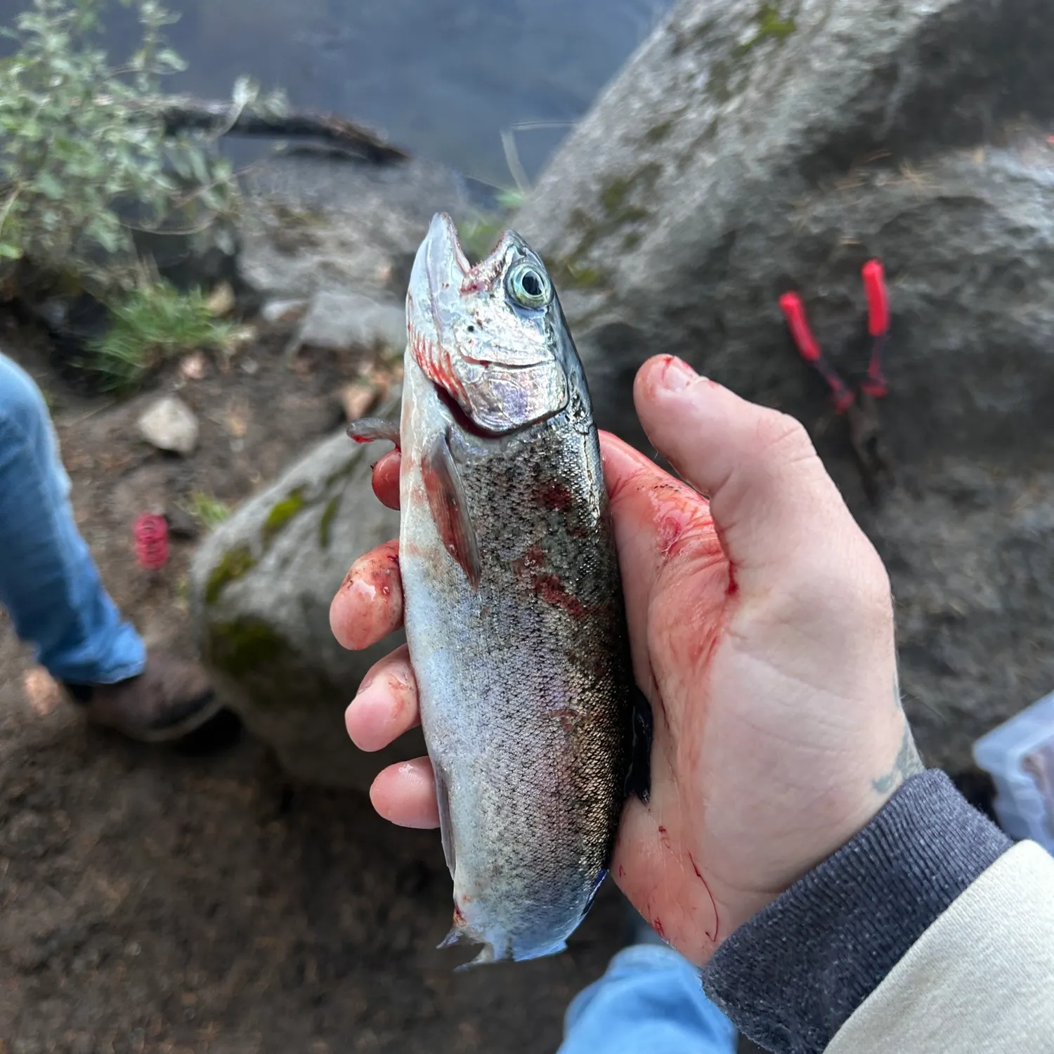catch