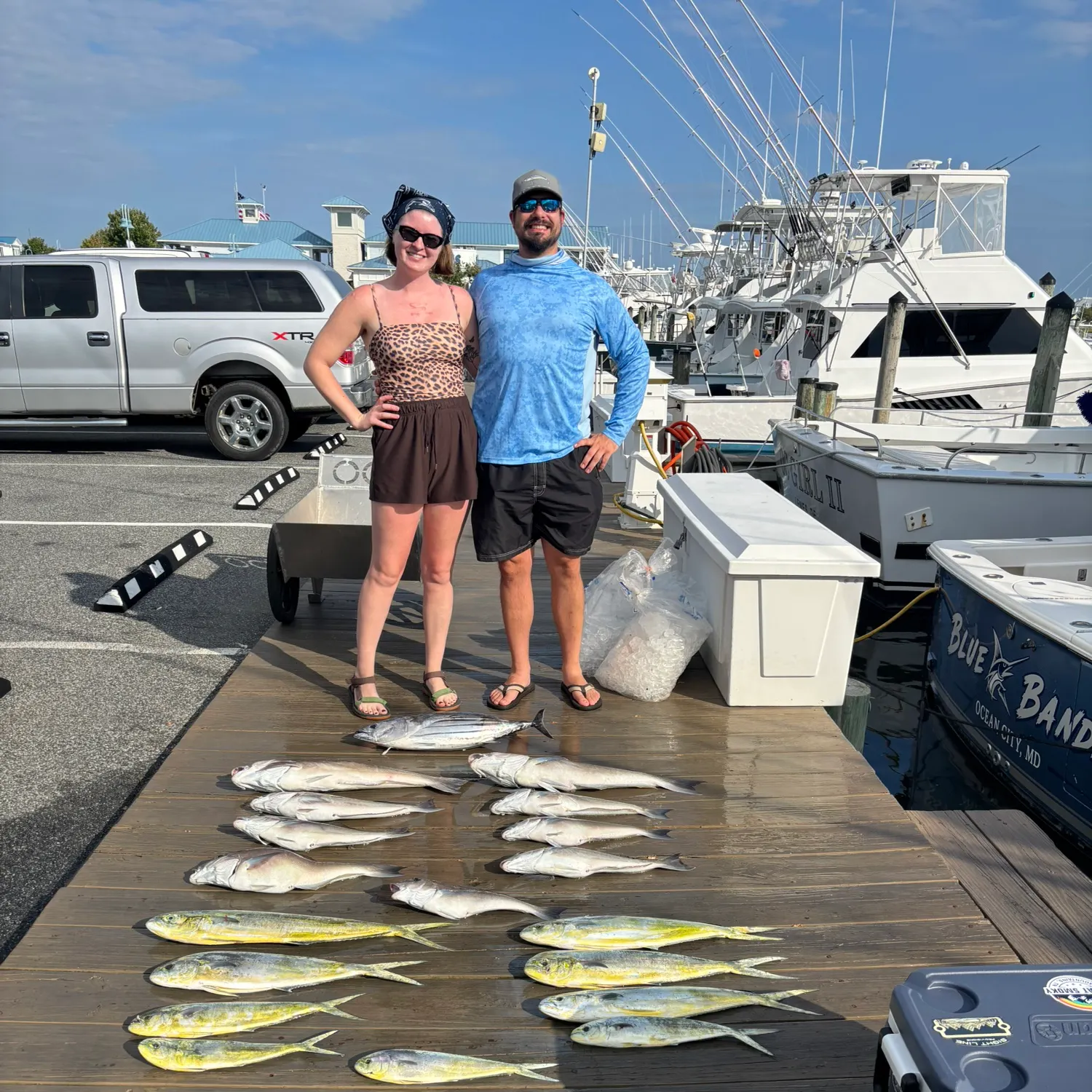 Common dolphinfish caught on Fishbrain