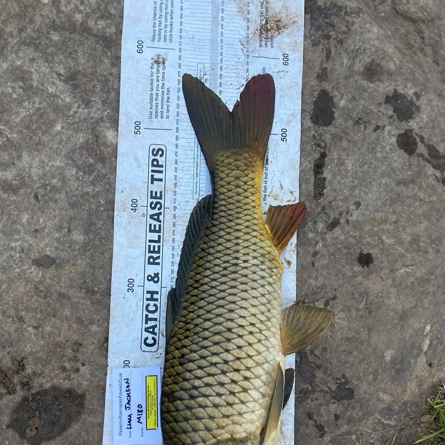catch