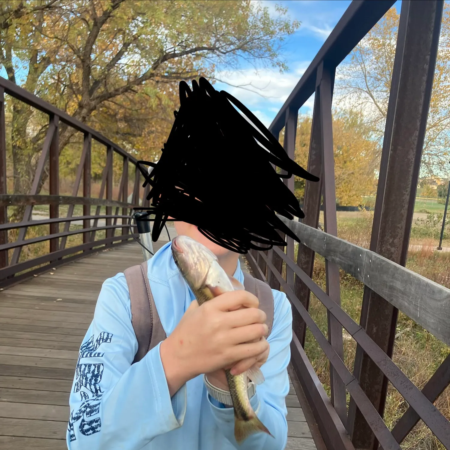 Creek chub caught on Fishbrain