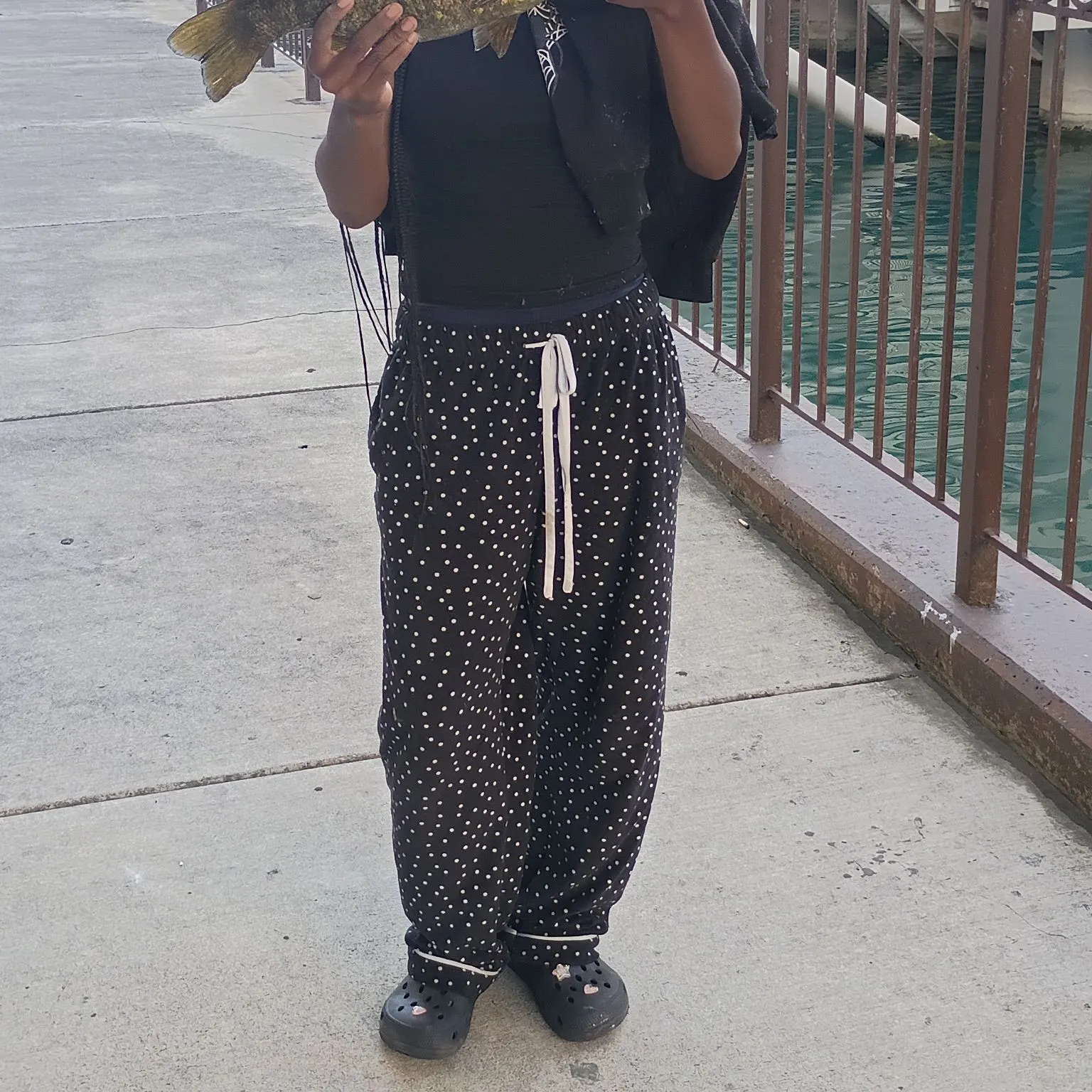 Smallmouth bass caught on Fishbrain