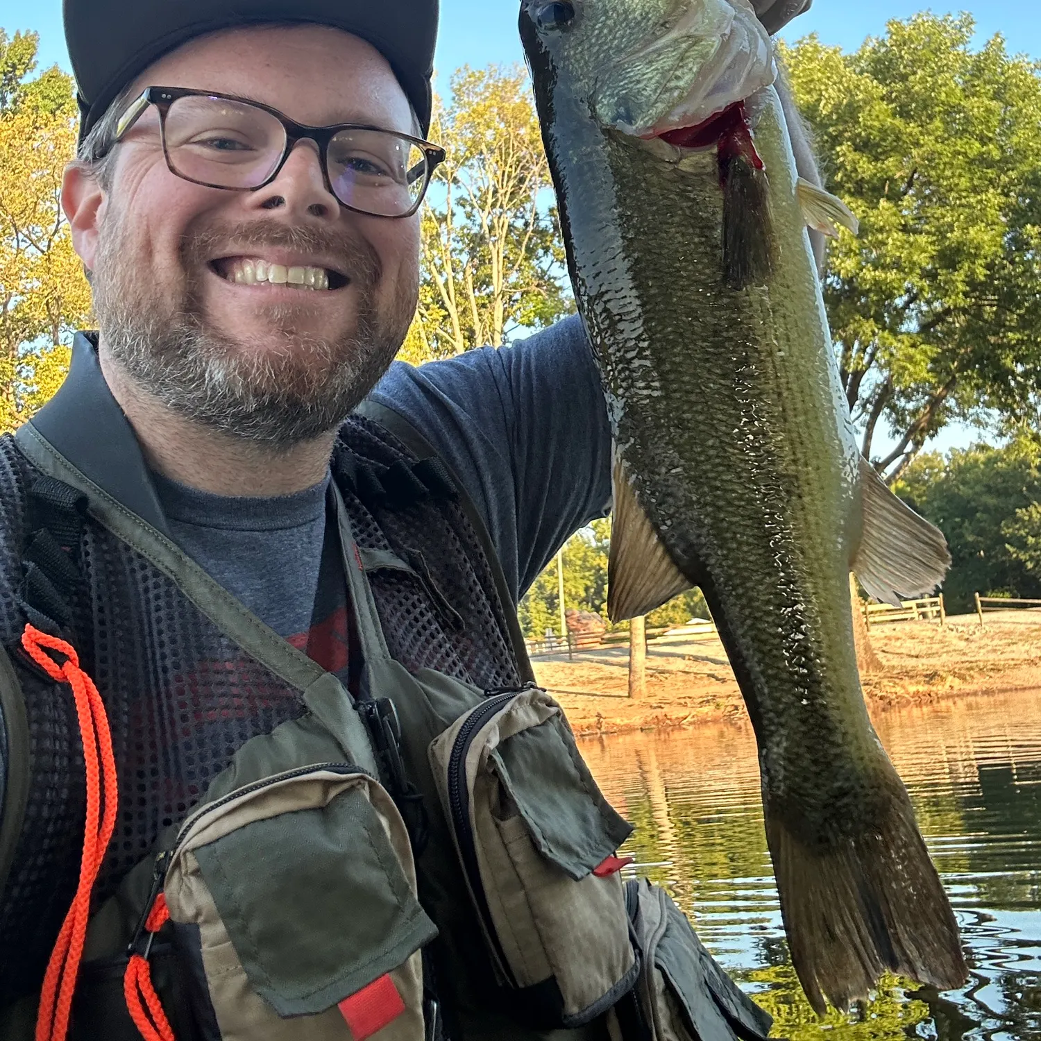 Largemouth bass caught on Fishbrain