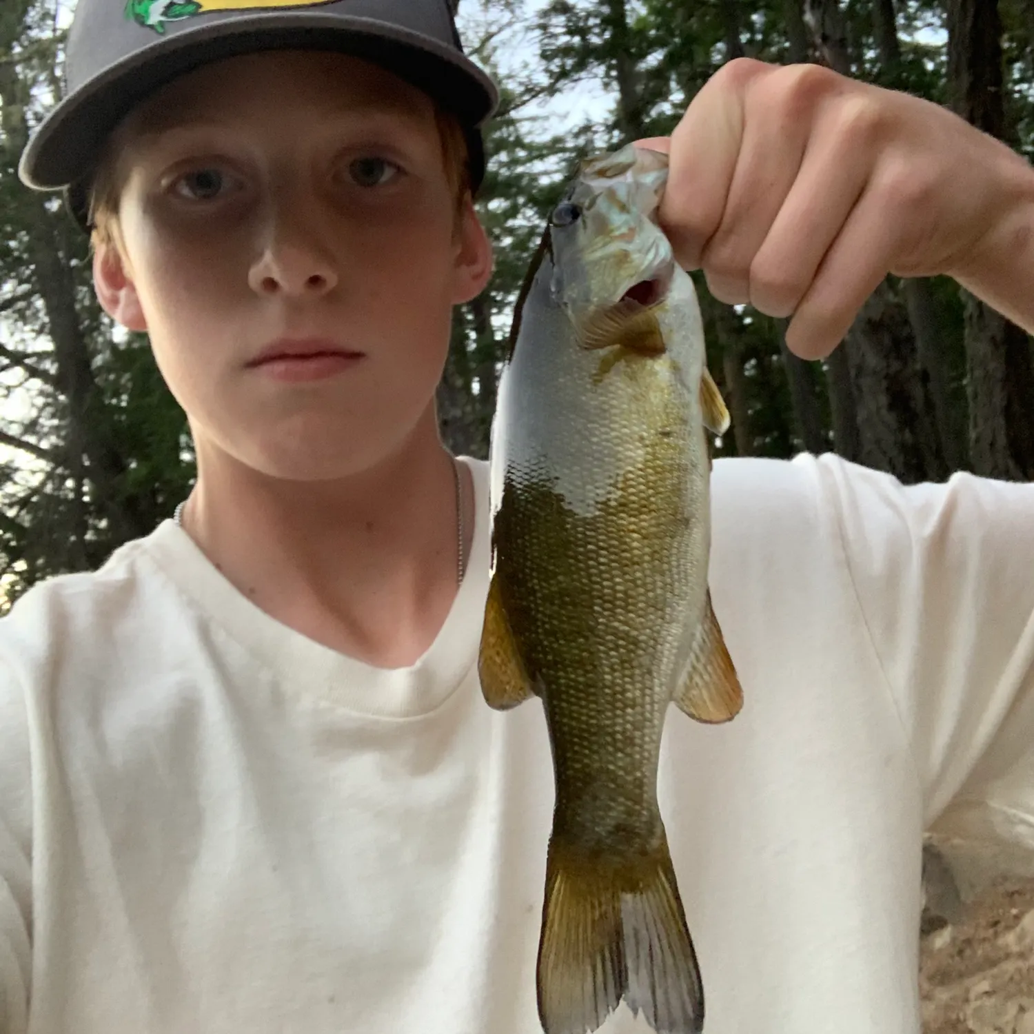 Smallmouth bass caught on Fishbrain