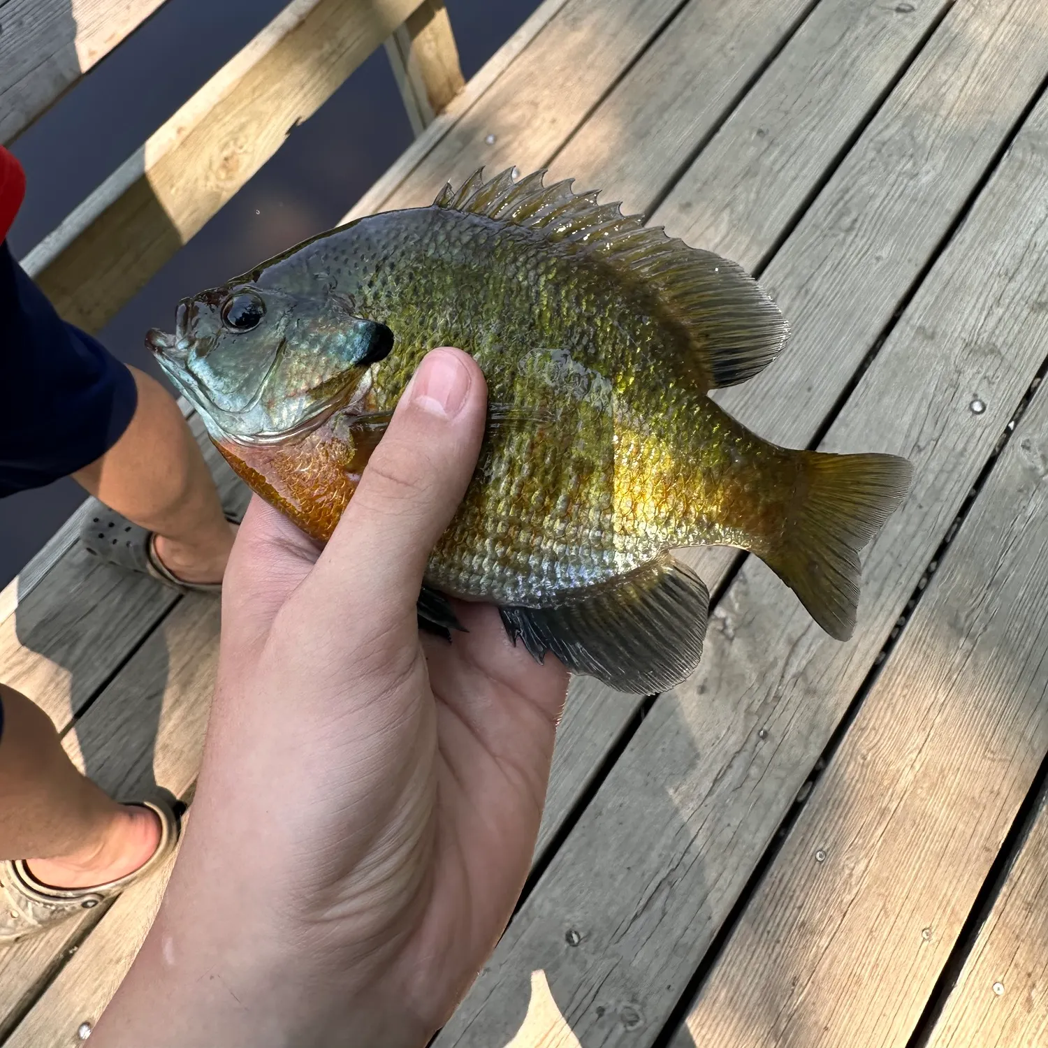 catch