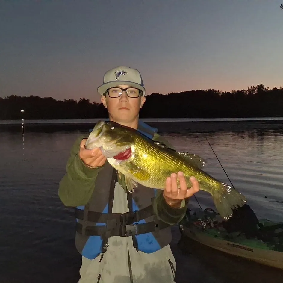 Largemouth bass caught on Fishbrain