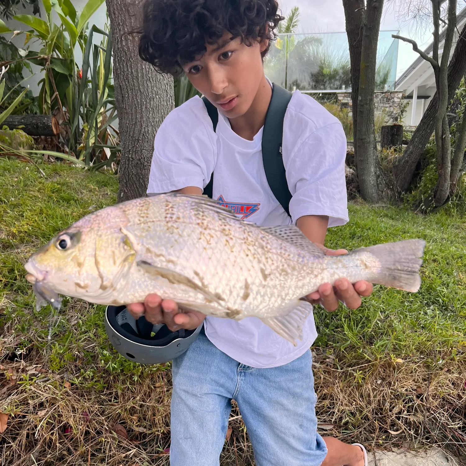 The most recent Javelin grunter catches on Fishbrain