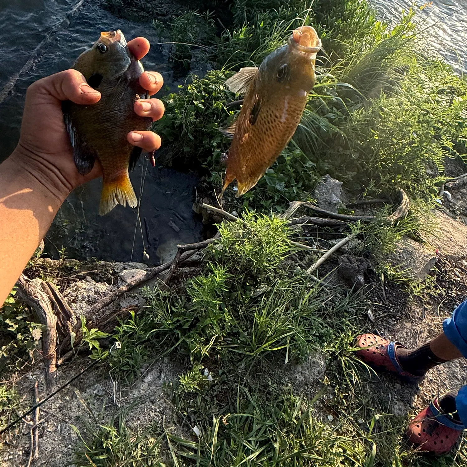 catch