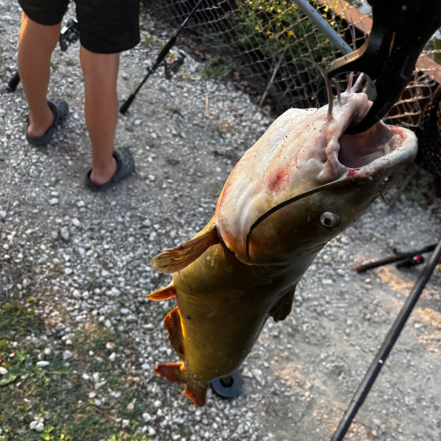 catch