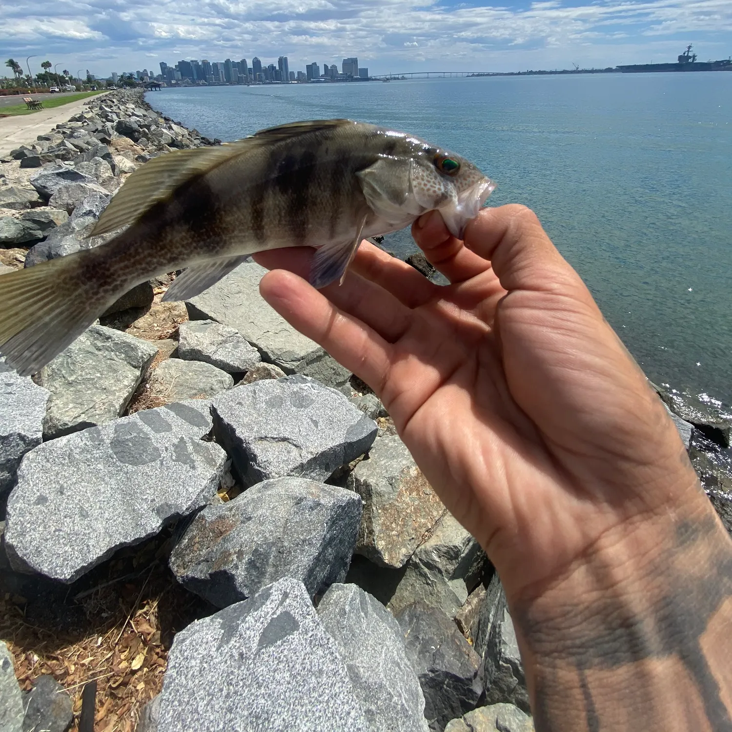 catch