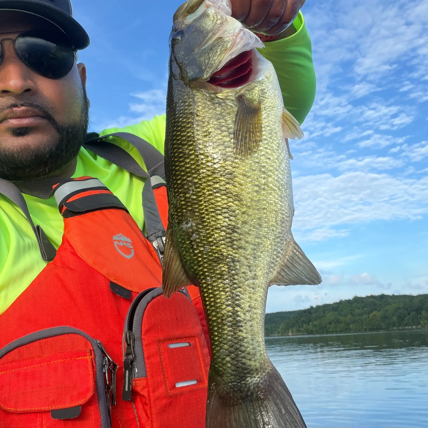 Largemouth bass caught on Fishbrain