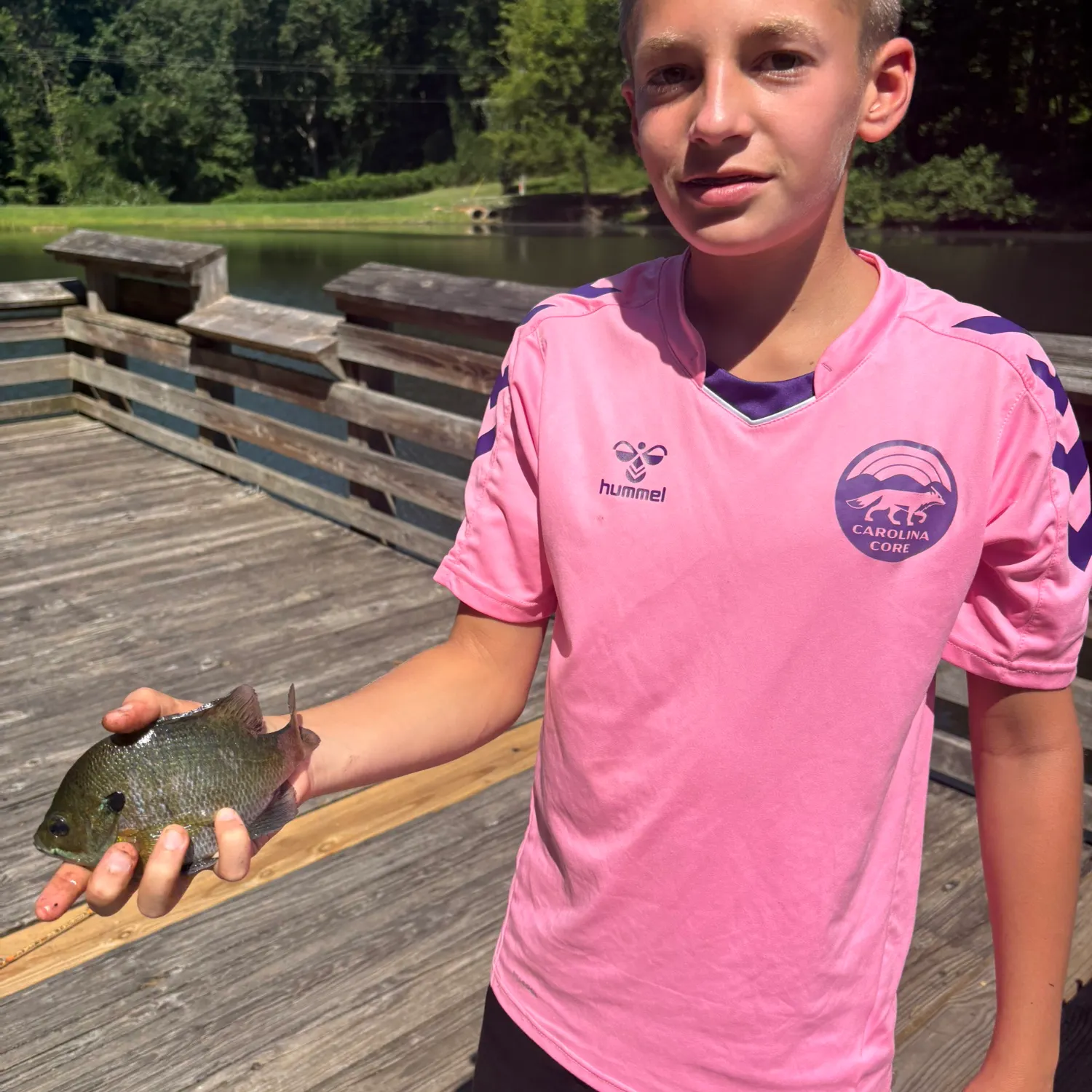 Bluegill caught on Fishbrain