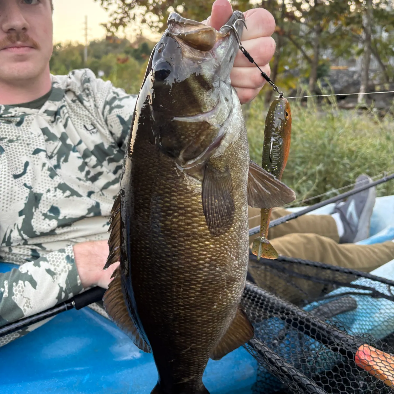 Smallmouth bass caught on Fishbrain